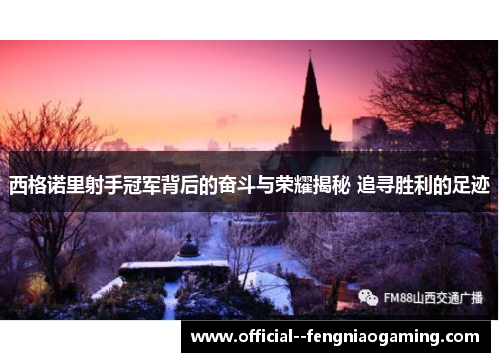 西格诺里射手冠军背后的奋斗与荣耀揭秘 追寻胜利的足迹