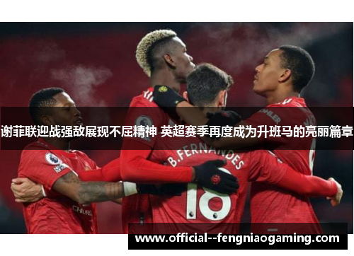 谢菲联迎战强敌展现不屈精神 英超赛季再度成为升班马的亮丽篇章