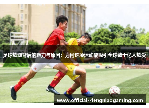 足球热潮背后的魅力与原因：为何这项运动能吸引全球数十亿人热爱