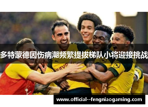 多特蒙德因伤病潮频繁提拔梯队小将迎接挑战