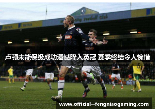 卢顿未能保级成功遗憾降入英冠 赛季终结令人惋惜 卢顿未能保级成功遗憾降入英冠 赛季终结令人惋惜